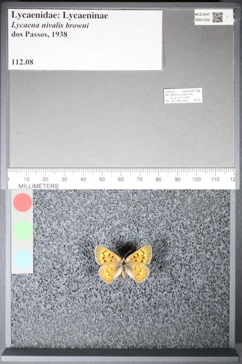 Media type: image;   Entomology 51202